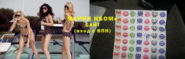 шишки Михайловск