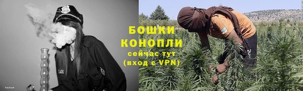 шишки Михайловск