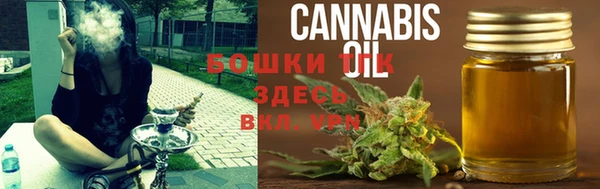 шишки Михайловск