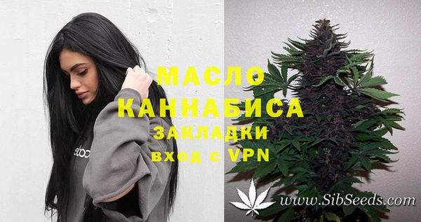 крисы Медногорск