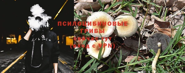 spice Мегион