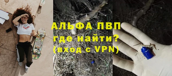 шишки Михайловск
