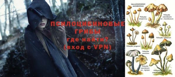 крисы Медногорск