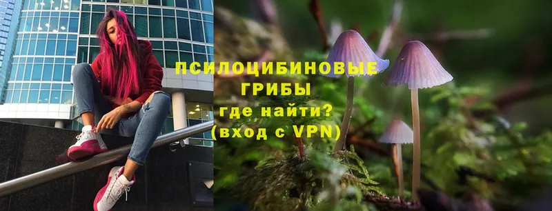 blacksprut tor  Ленск  маркетплейс формула  Псилоцибиновые грибы Magic Shrooms 