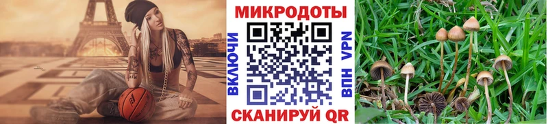 Псилоцибиновые грибы прущие грибы  купить наркотики сайты  Ленск 